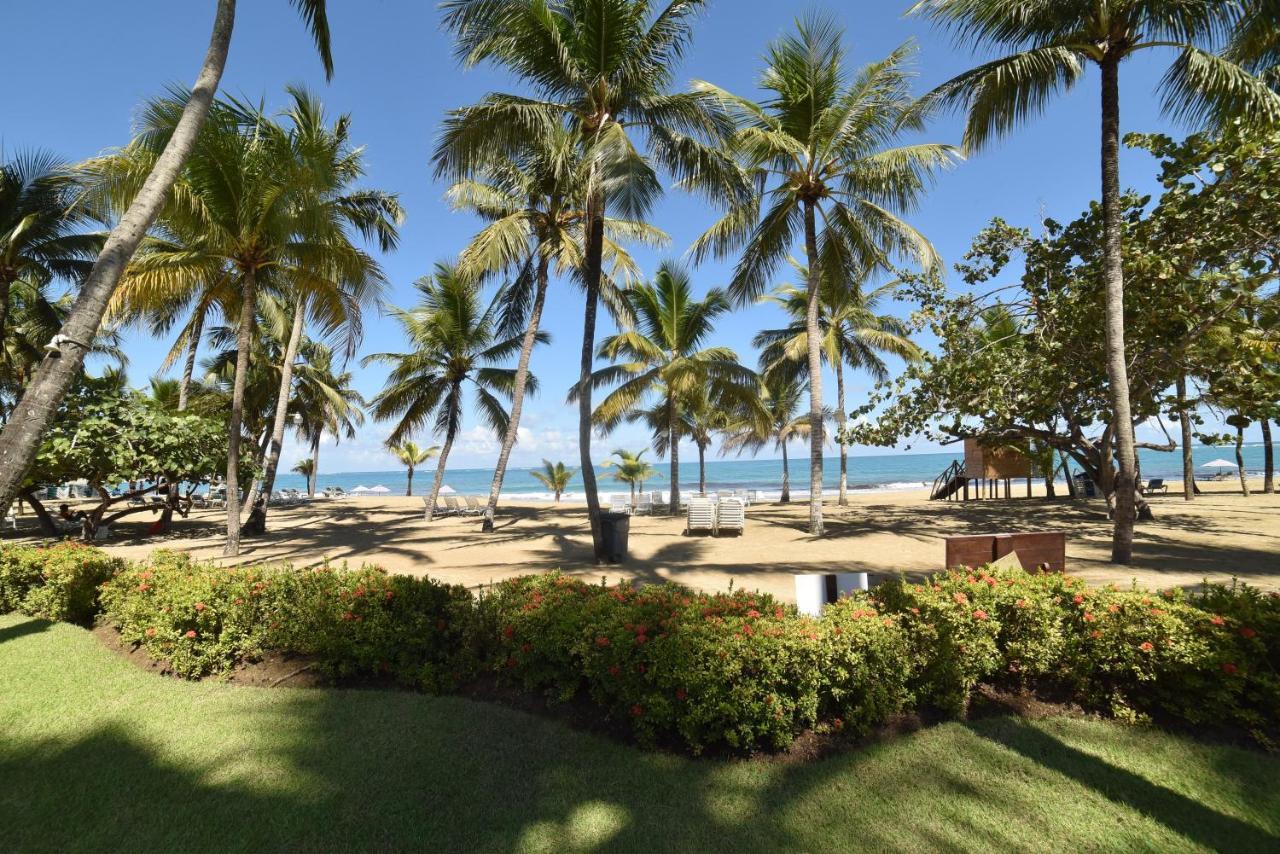 Cabarete Palm Beach Condos Экстерьер фото